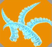 S101 Kinjutsu: Advanced Rage of Giant Octopus