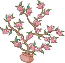 S107 Enchanted Peach