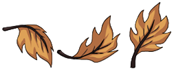 S109 Fleeting Wind