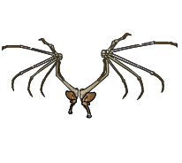 S28 Dragonbone Wings