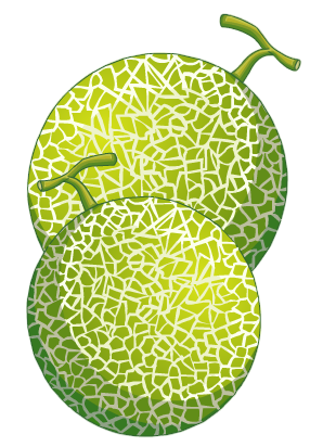 S40 Perfect Ripe Melon